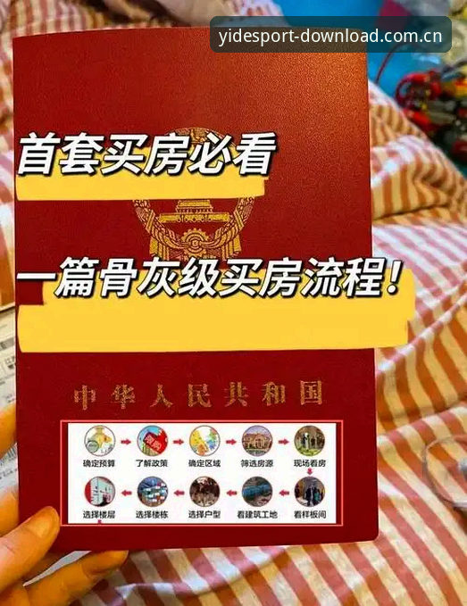 亿德体育平台详解:从官方下载到最新版体验的全方位指南